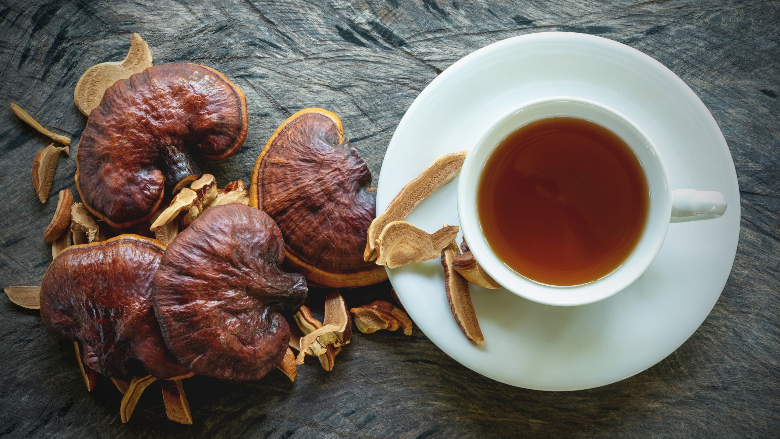 Mushroom teas for wellness