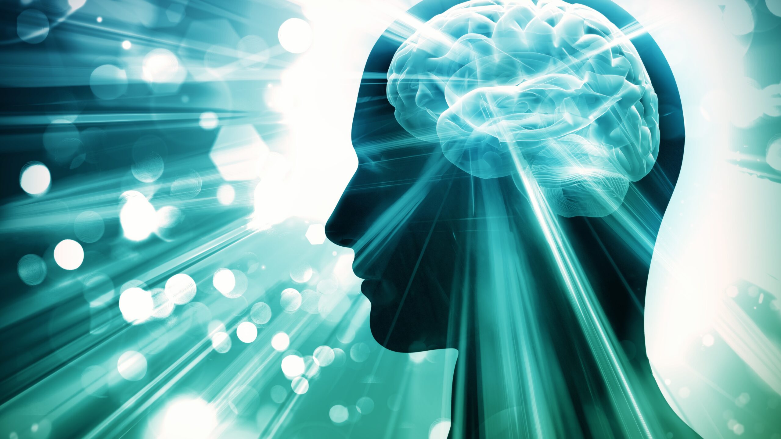 Mushroom for brain health