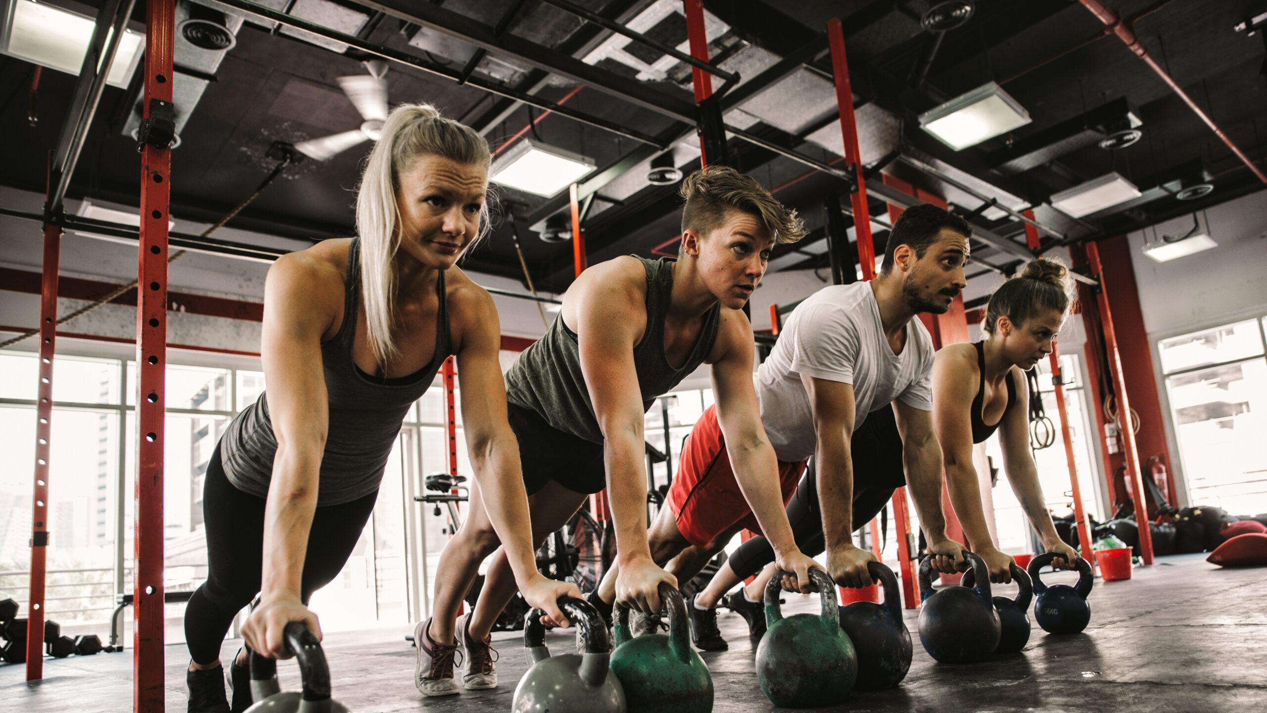 Pre workout mushroom blends