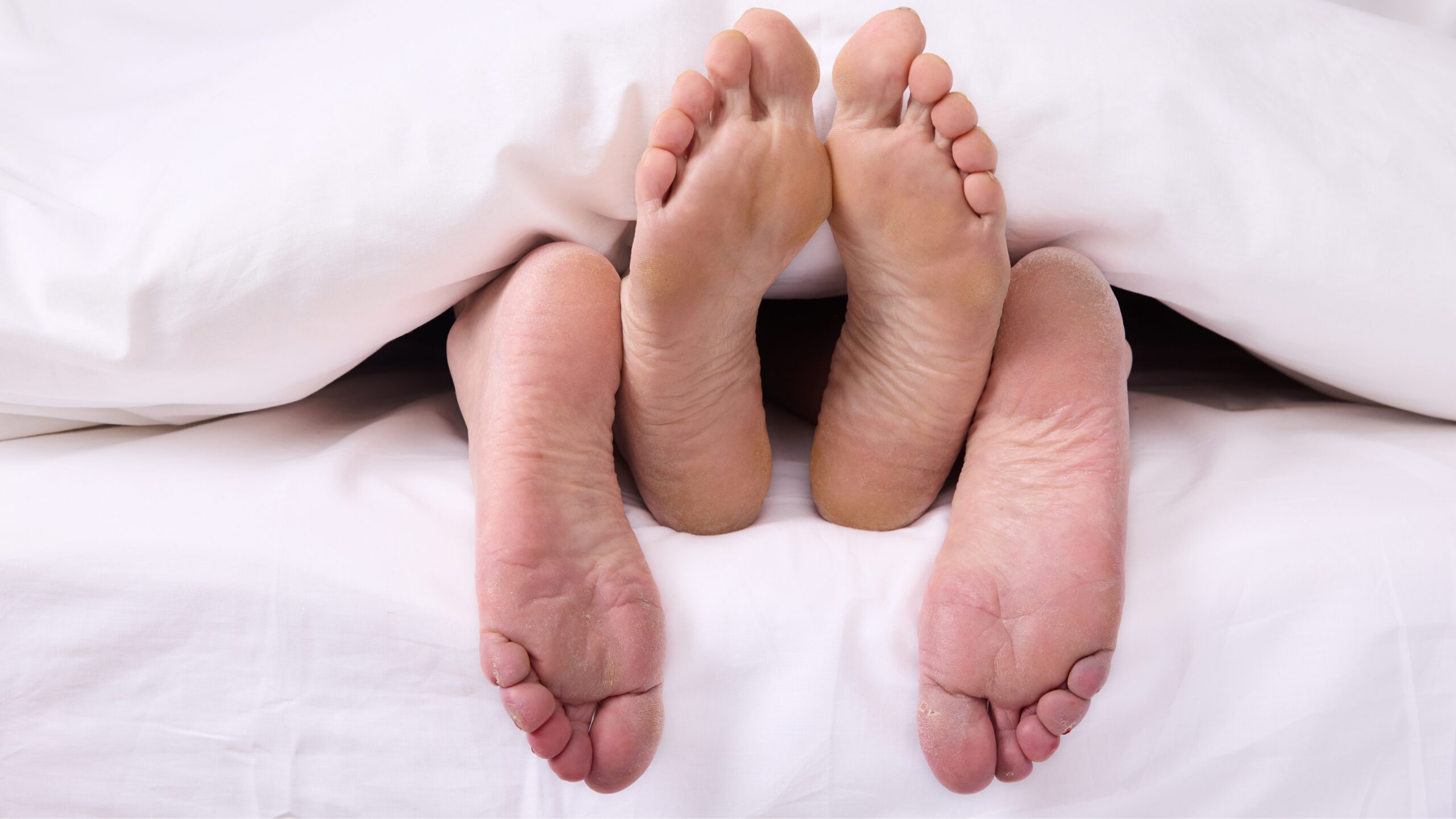 Cordyceps and Libido connection