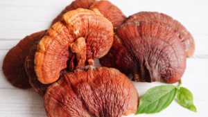reishi mushroom for immune support