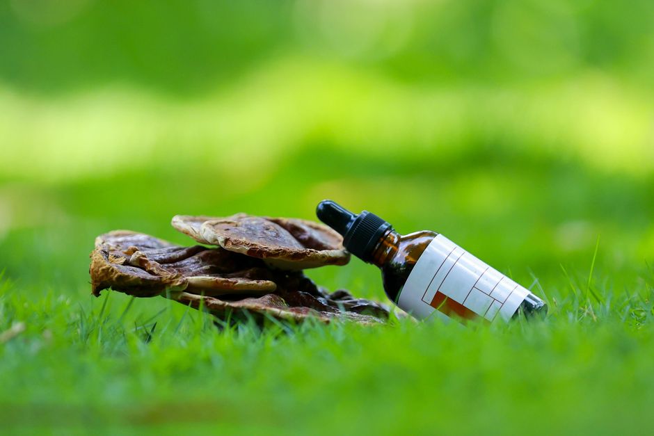 Reishi mushrooms and tincture dropper bottle representing functional mushroom supplements